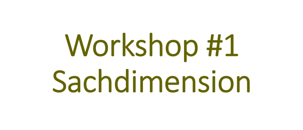 Workshop Nr 1 Sachdimension